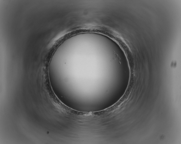 X0000096961304200802151226