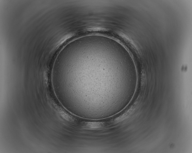 X0000096961305200802151226