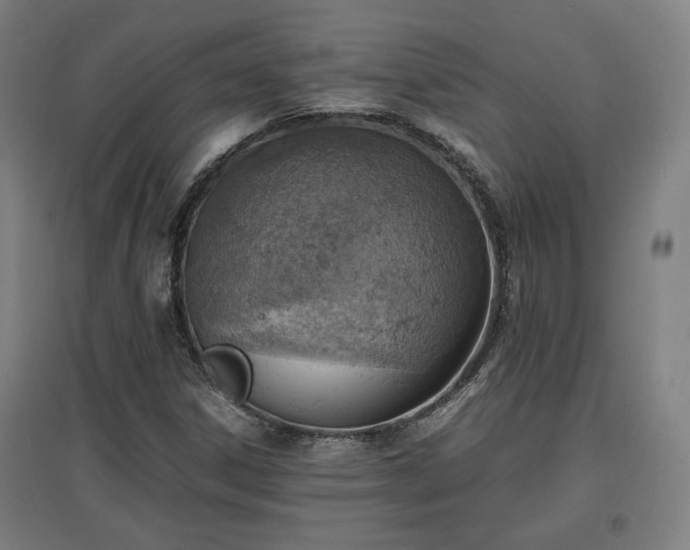 X0000096961306200802151226