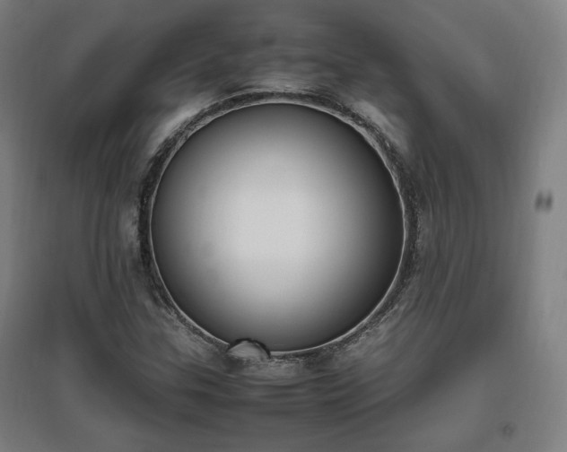 X0000096961307200802151226