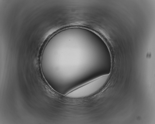 X0000096961308200802151226