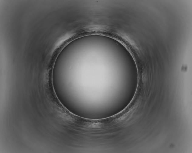 X0000096961309200802151226