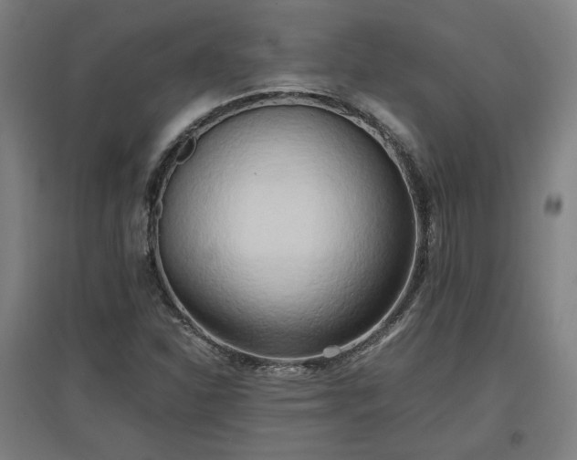 X0000096961310200802151226