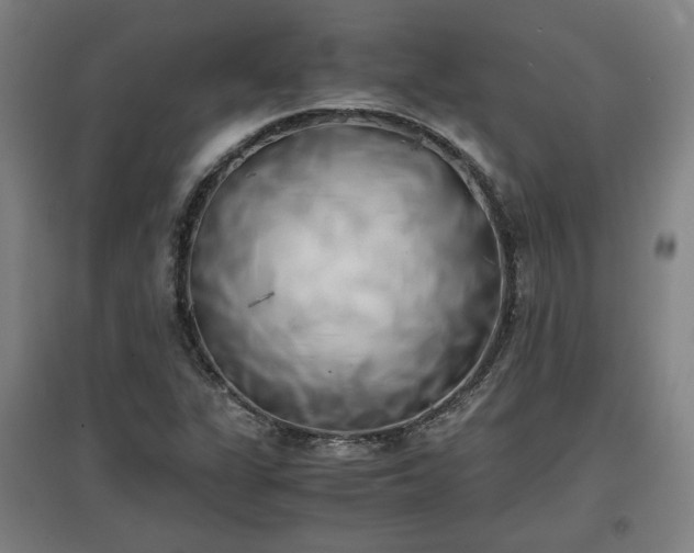 X0000096961311200802151226