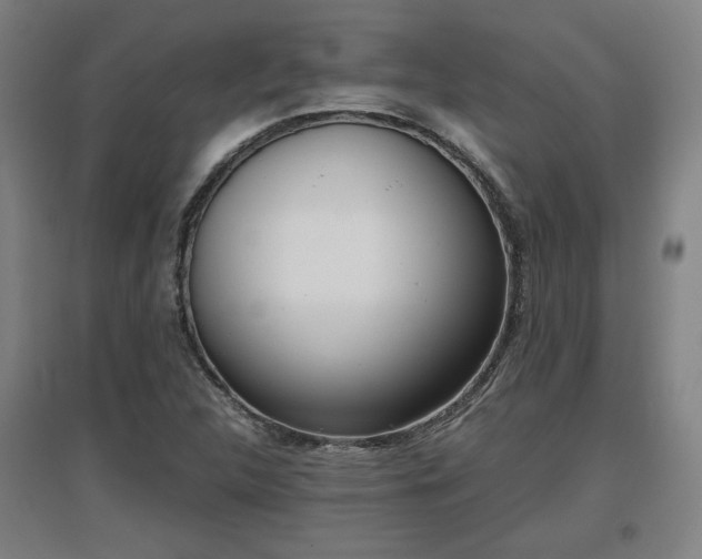 X0000096961312200802151226