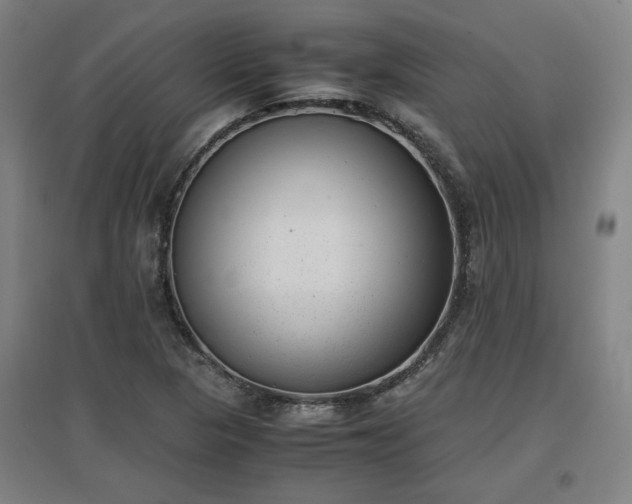 X0000096961313200802151226