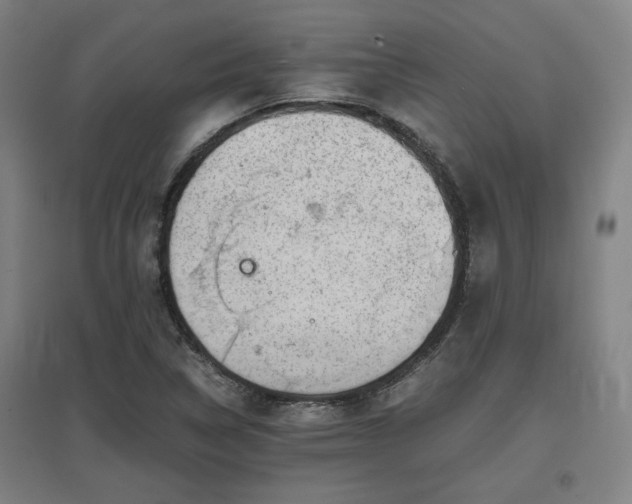 X0000096961314200802151226