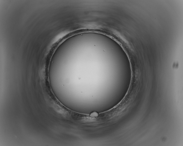 X0000096961315200802151226