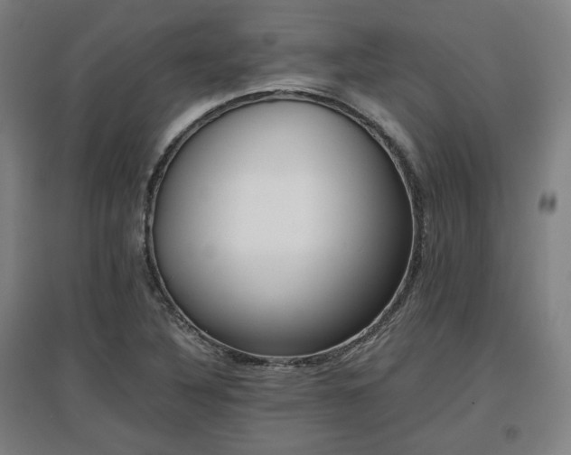 X0000096961316200802151226