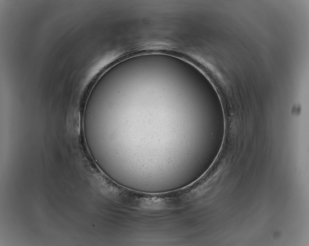 X0000096961317200802151226