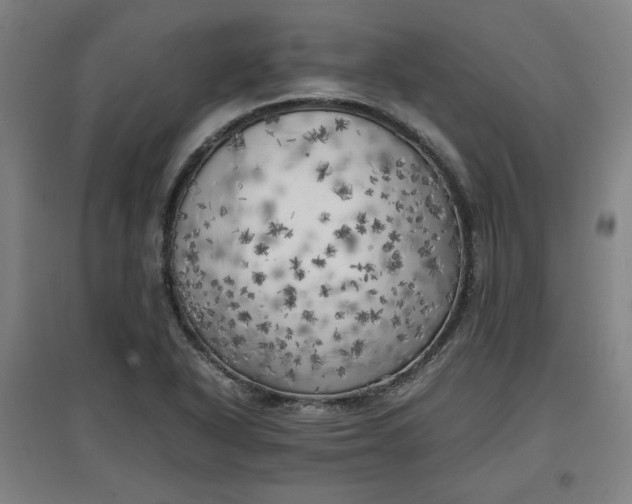 X0000096961318200802151226