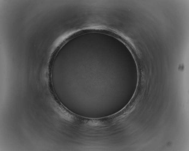 X0000096961319200802151226