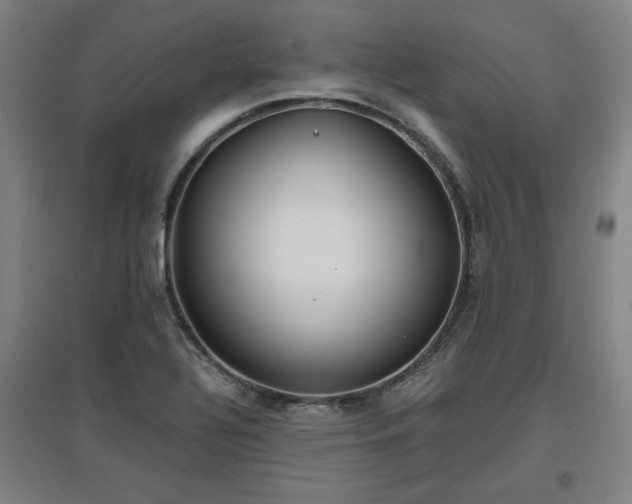 X0000096961320200802151226