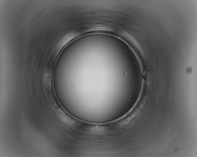 X0000096961321200802151226