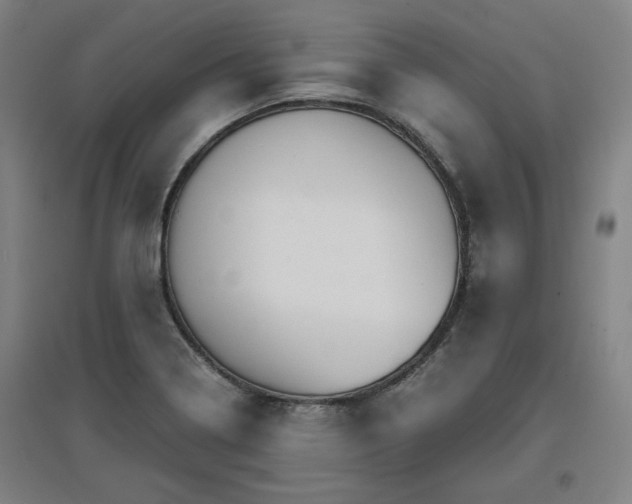 X0000096961322200802151226