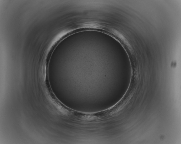 X0000096961323200802151226