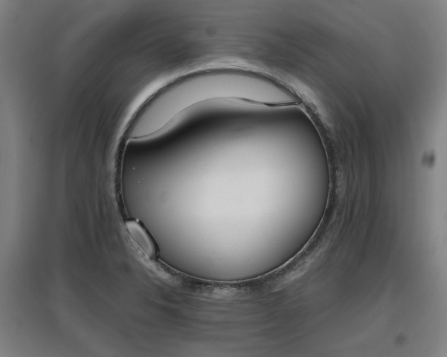 X0000096961326200802151226