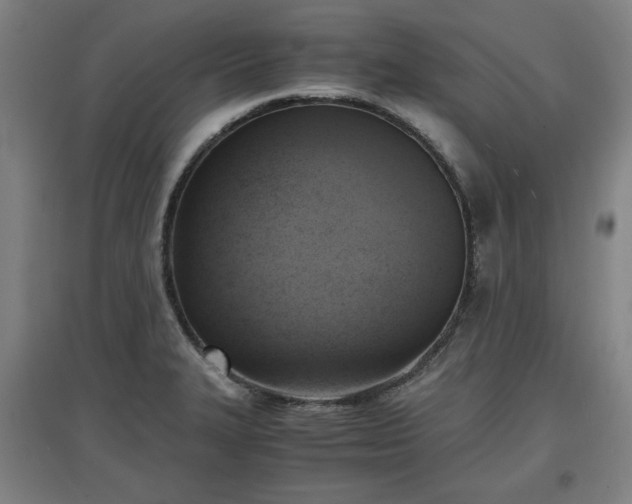 X0000096961327200802151226