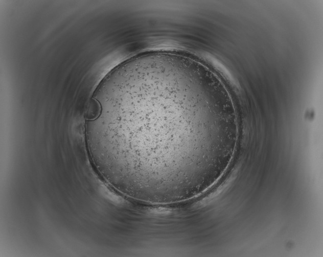 X0000096961329200802151227