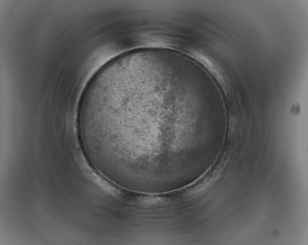 X0000096961331200802151227