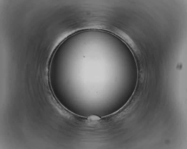 X0000096961332200802151227