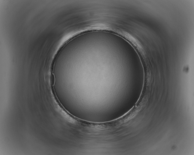 X0000096961334200802151227