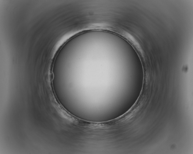 X0000096961336200802151227