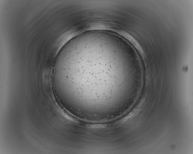 X0000096961337200802151227