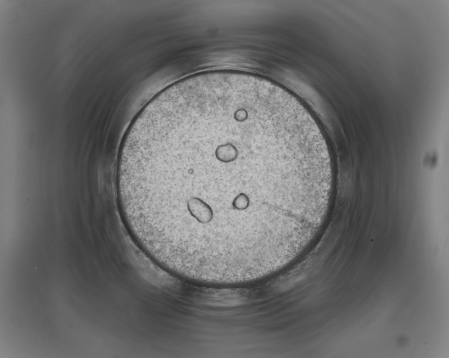 X0000096961338200802151227