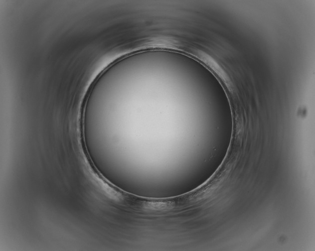 X0000096961339200802151227