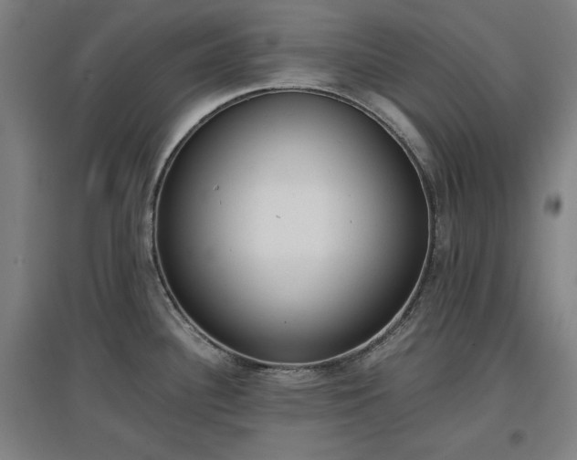 X0000096961340200802151227