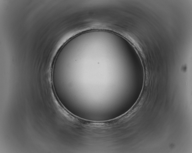 X0000096961342200802151227