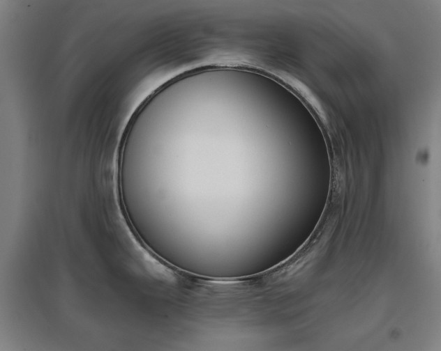 X0000096961343200802151227