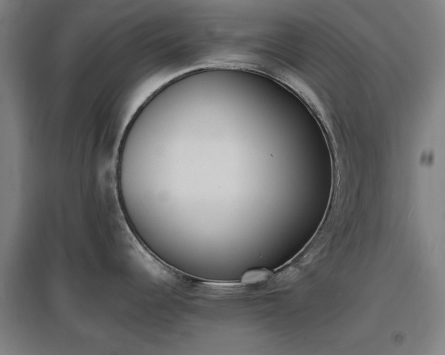 X0000096961344200802151227