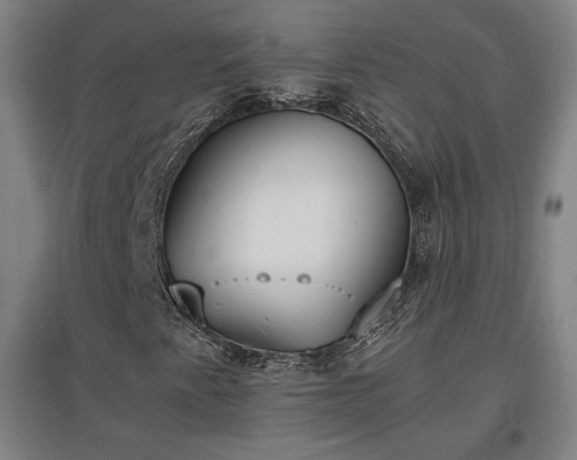 X0000096961345200802151226