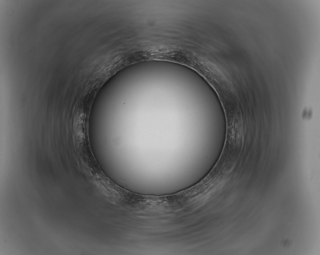 X0000096961346200802151226