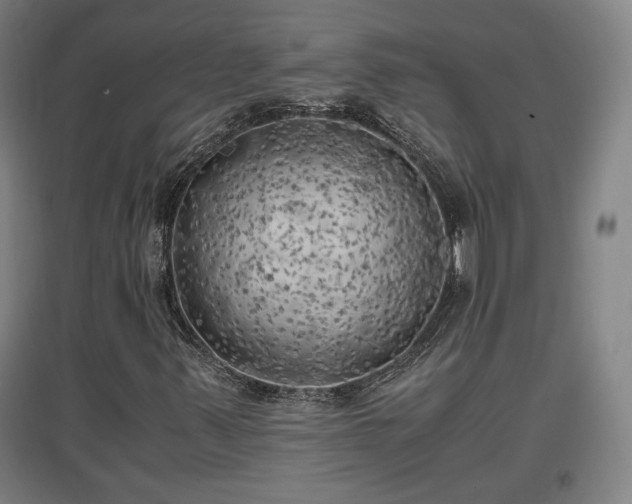 X0000096961347200802151226