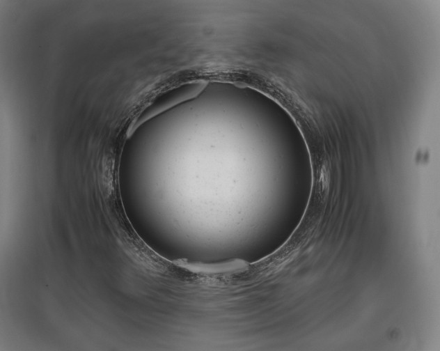 X0000096961348200802151226