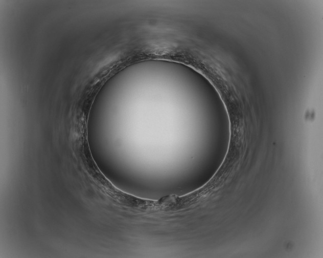 X0000096961349200802151226