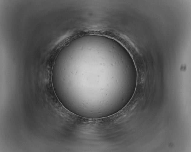 X0000096961350200802151226