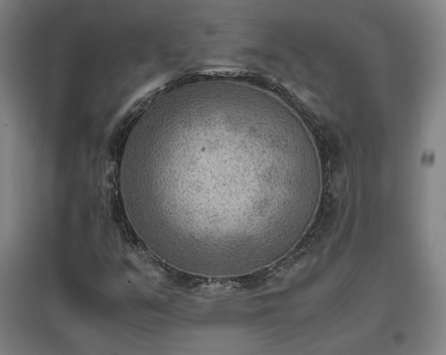 X0000096961351200802151226