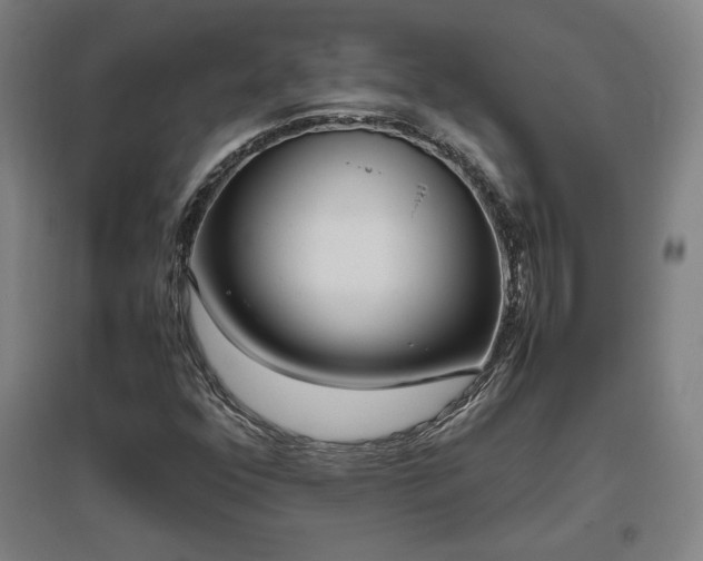 X0000096961352200802151226