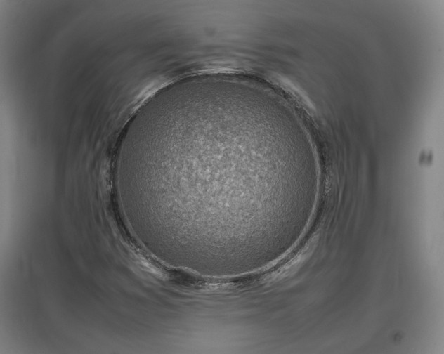 X0000096961353200802151226