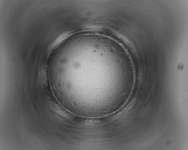 X0000096961354200802151226