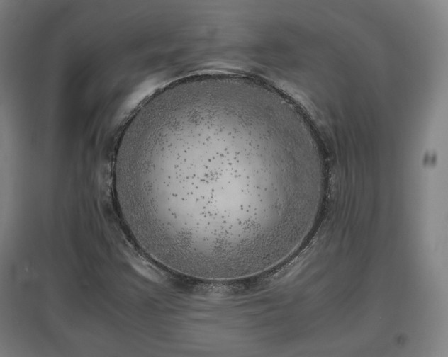 X0000096961355200802151226