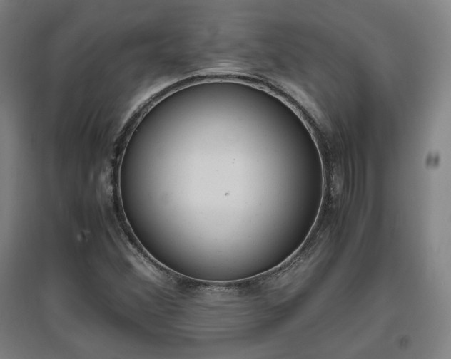 X0000096961356200802151226