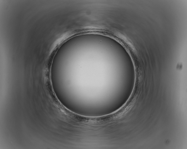 X0000096961357200802151226