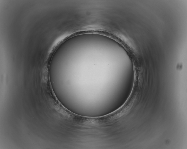 X0000096961358200802151226