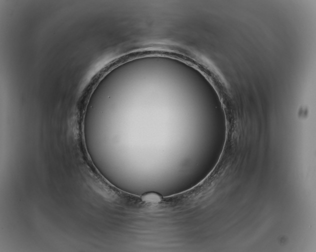 X0000096961360200802151226