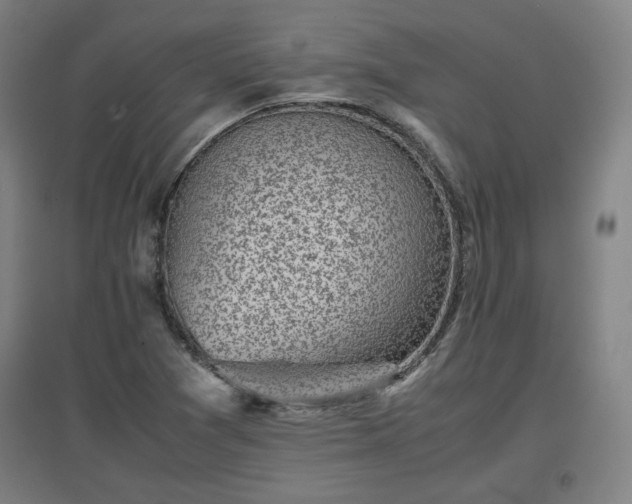 X0000096961361200802151226